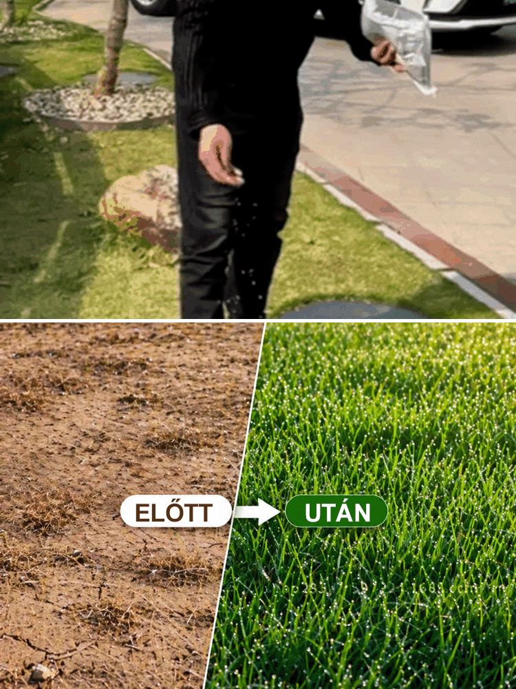 🌱Prémium Új-Zélandi Hibrid Fűmag - Bársonypuha Pázsit 7 Nap Alatt - 99.9% Csírázási Arány ⛳
