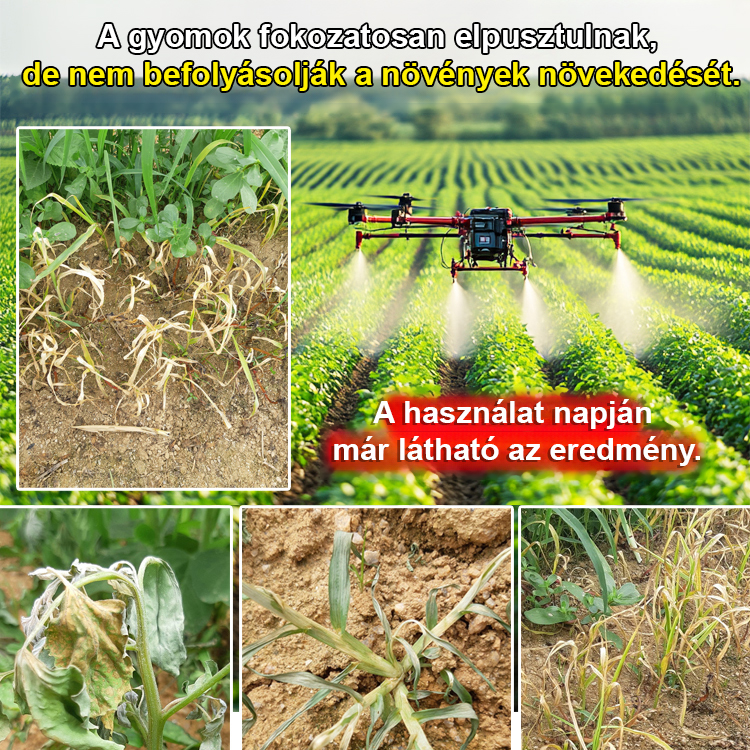 Prémium Bio Gyomirtó Koncentrátum ✅ 3 órás gyökeres pusztítás ⏰ 1+1 Ajándék
