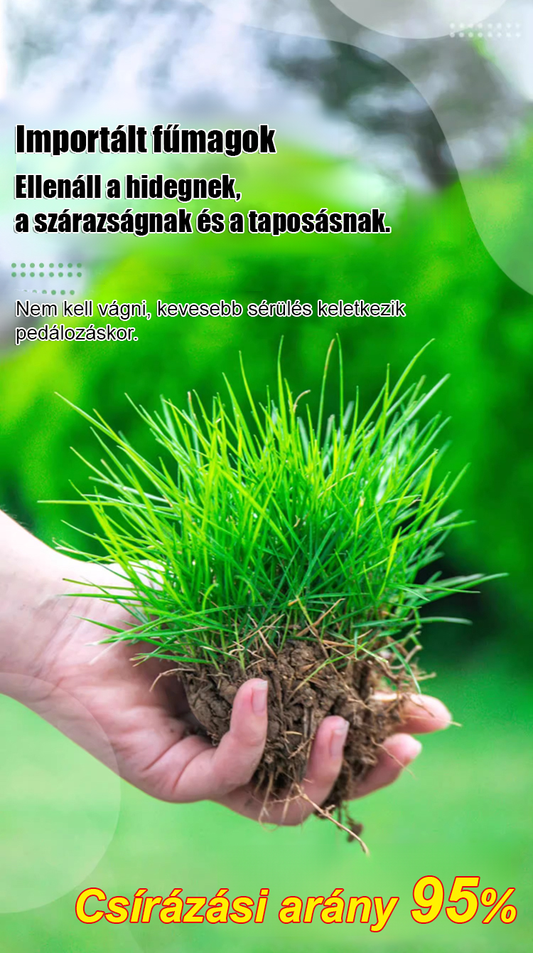 翻译件-HFH-7天发芽-草坪种子-1277854-系统_03.jpg