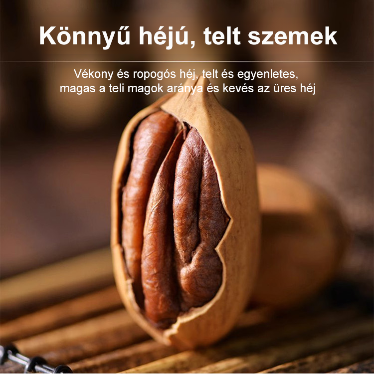 Egyetlen ültetés, évtizedekig tartó bőséges termés! Kártevő-ellenálló és magas túlélési arányú – hozza létre könnyedén saját "dióskertjét"!