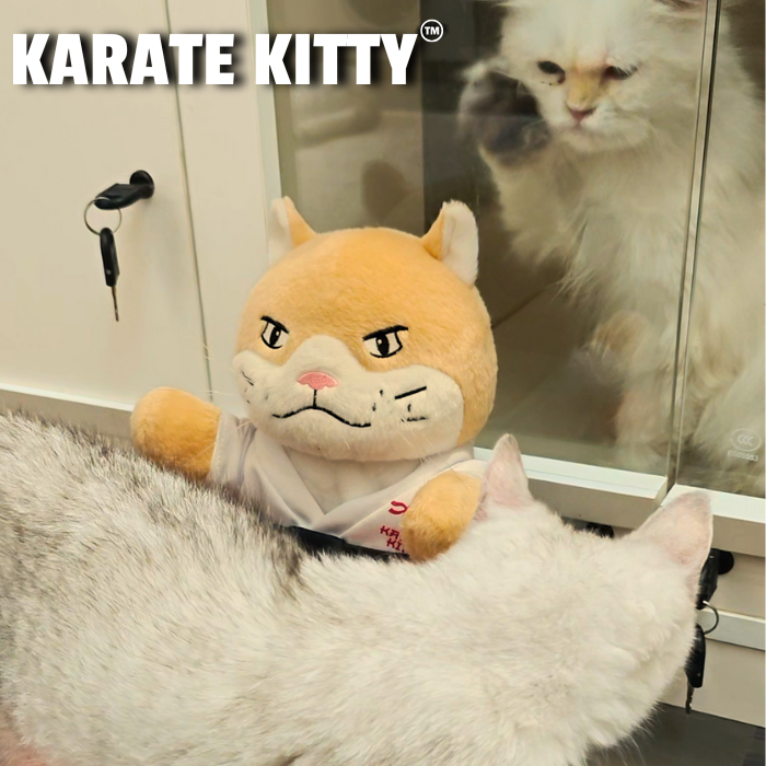 Karate Kitty™