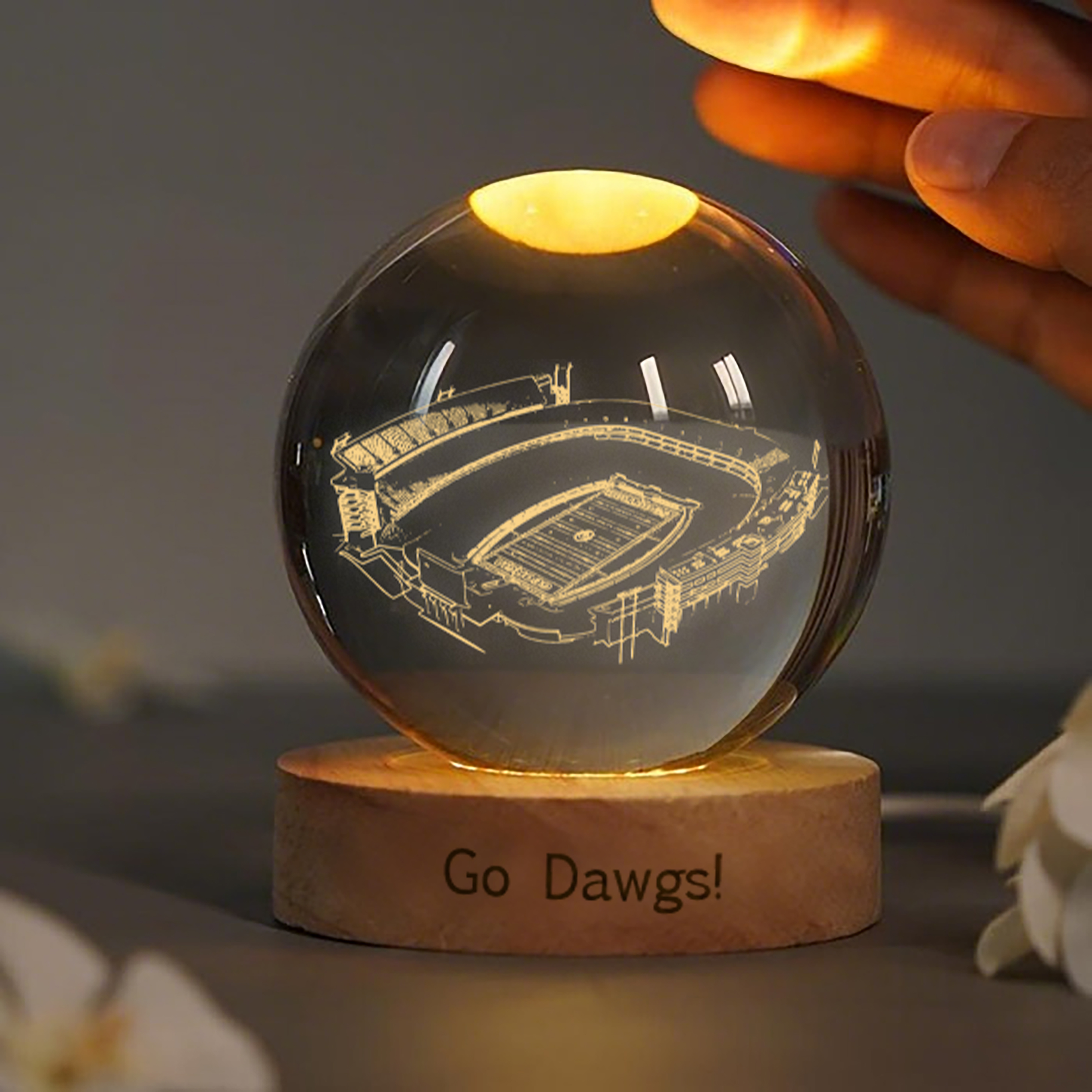 Sanford Stadium 3D Spherical Crystal Lamp