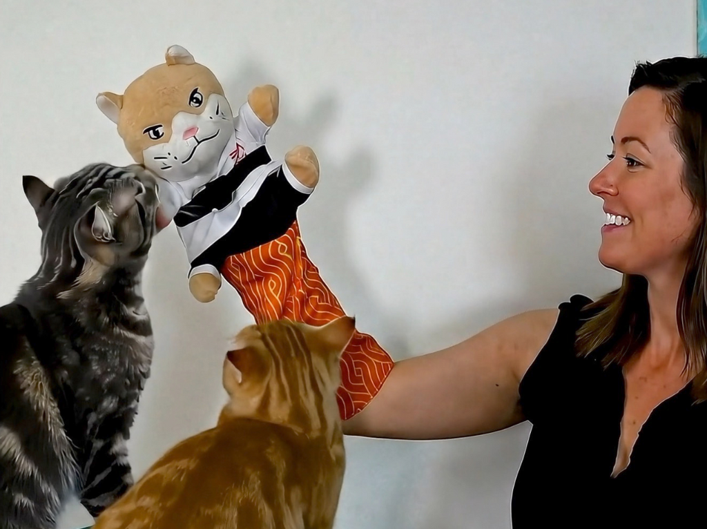 Interactive play cat