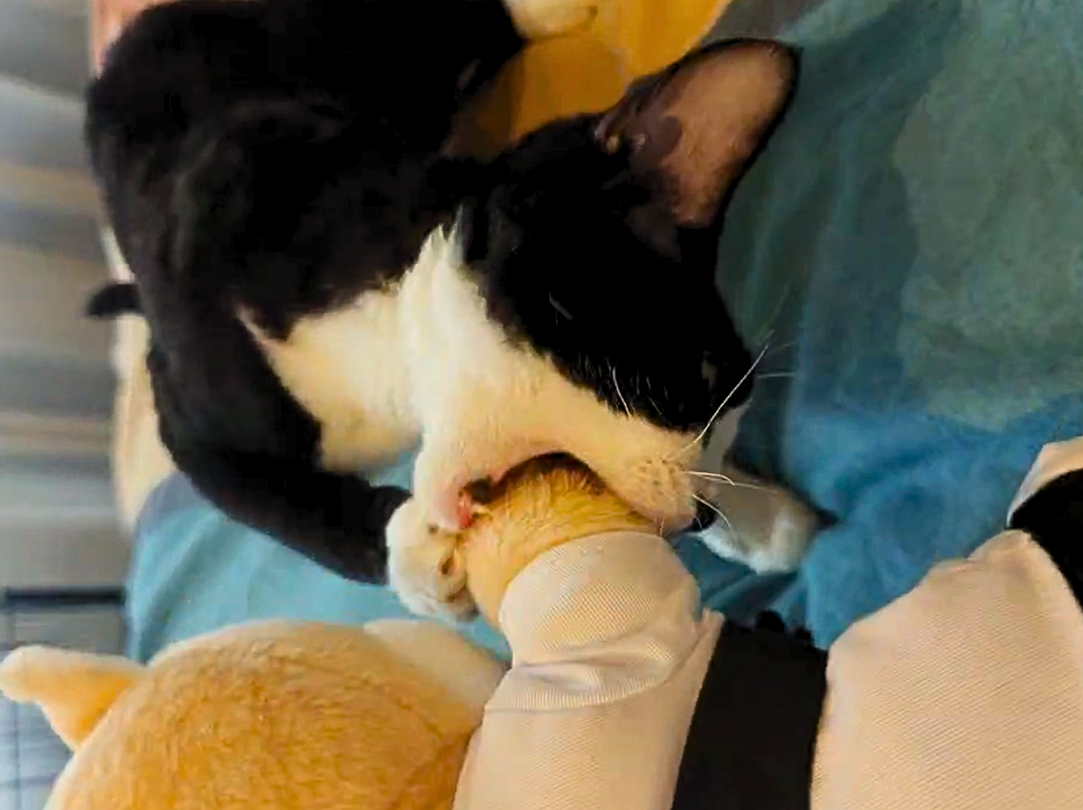 Use the crinkly ears