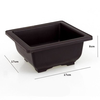 Flower pots and trays