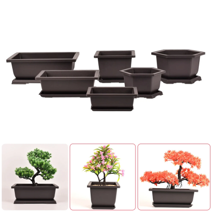 Flower pots and trays