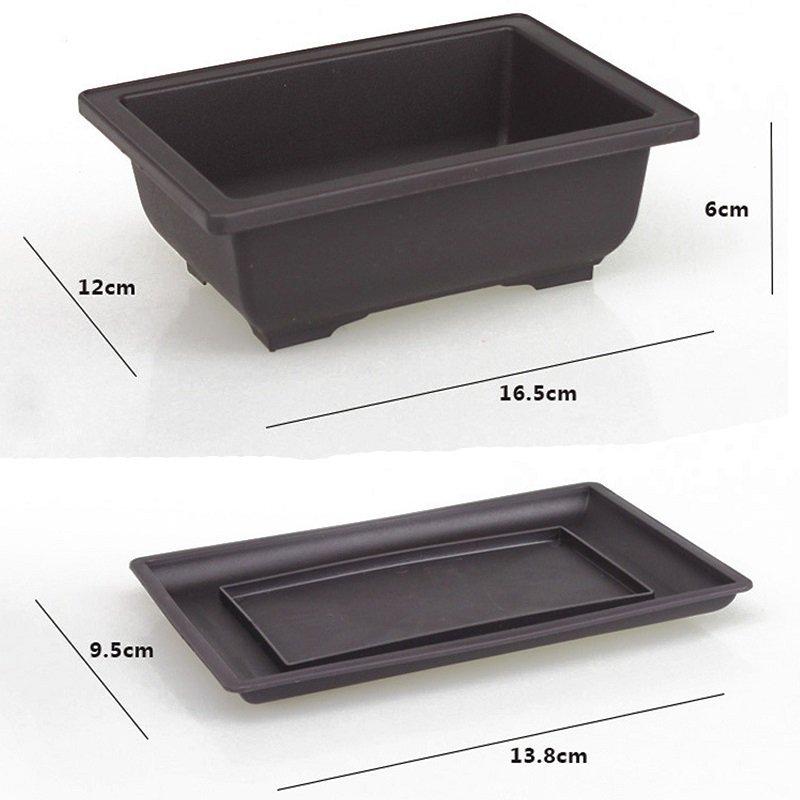 Flower pots and trays