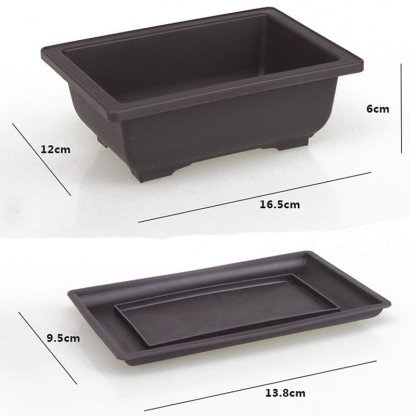 Flower pots and trays