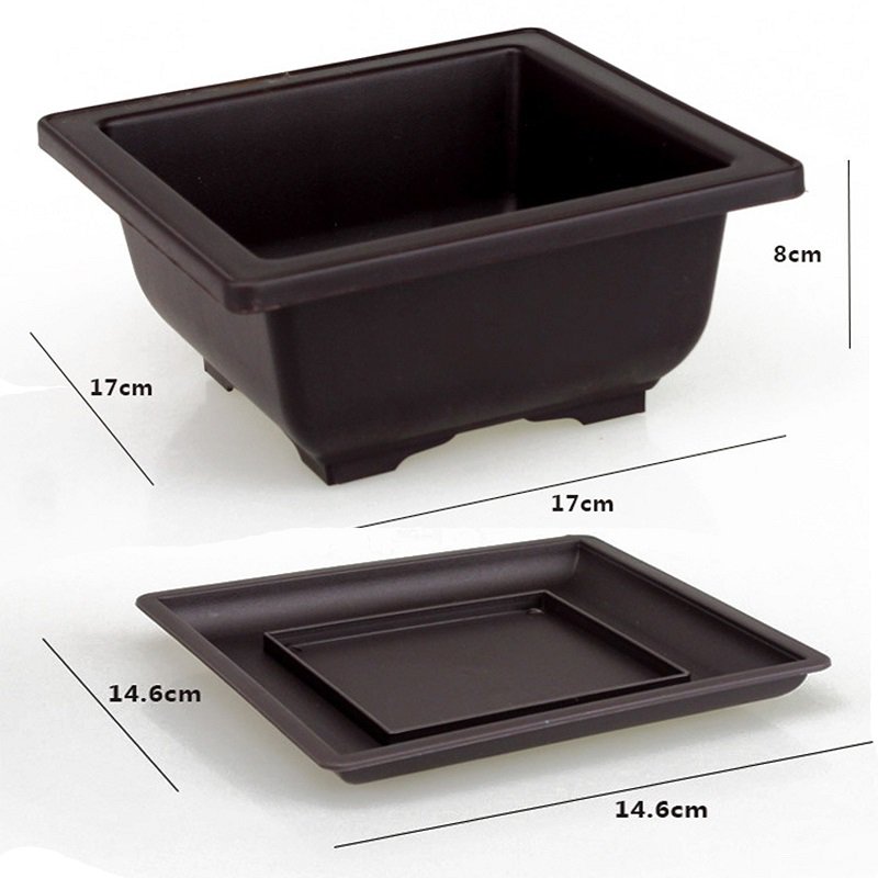 Flower pots and trays