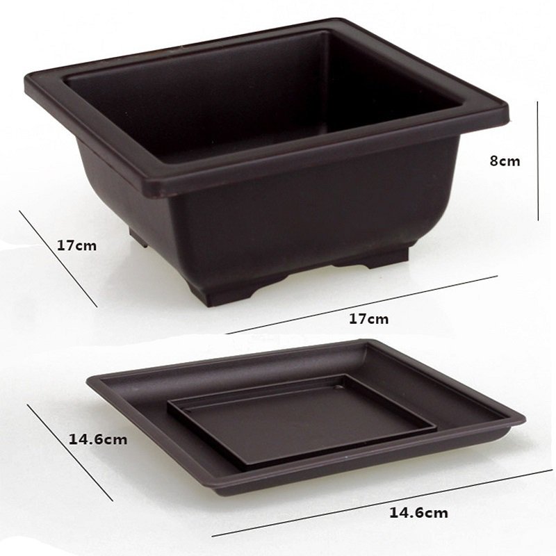 Flower pots and trays