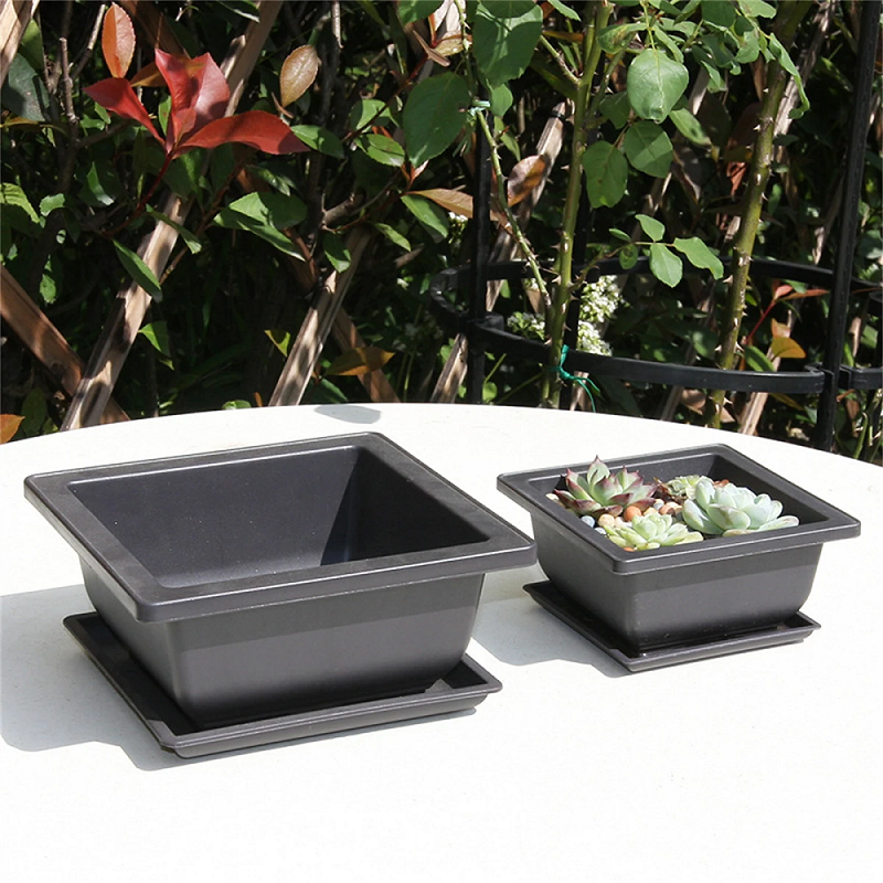 Flower pots and trays
