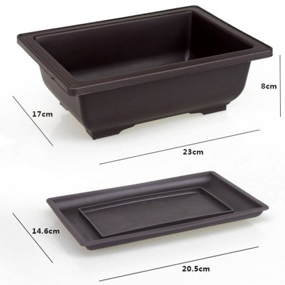 Flower pots and trays