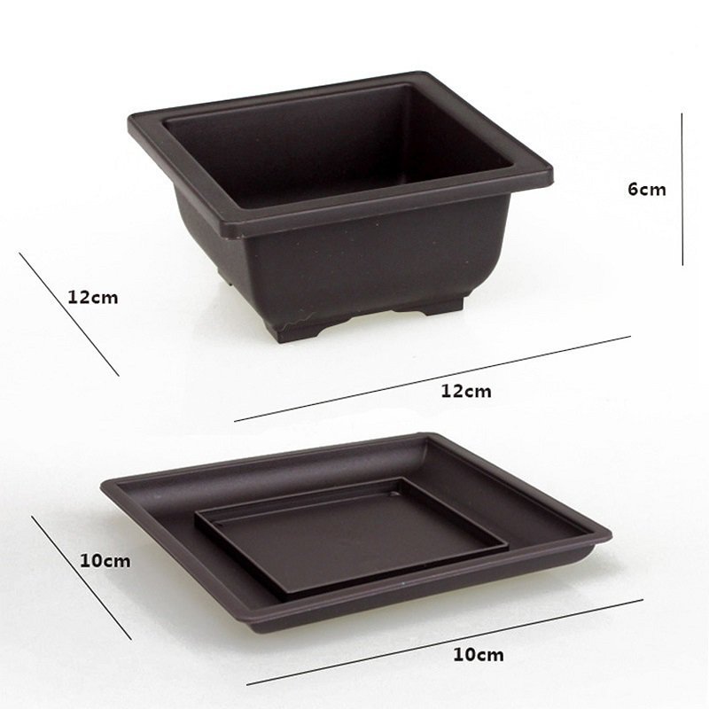 Flower pots and trays