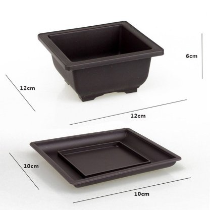 Flower pots and trays