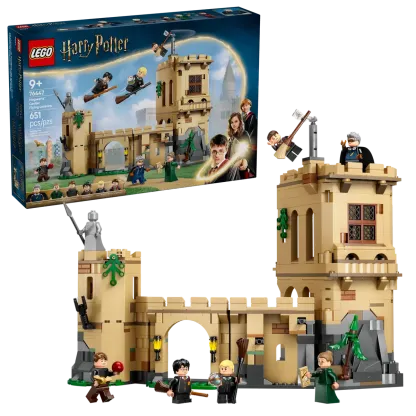 Hogwarts™ Castle: Flying Lessons