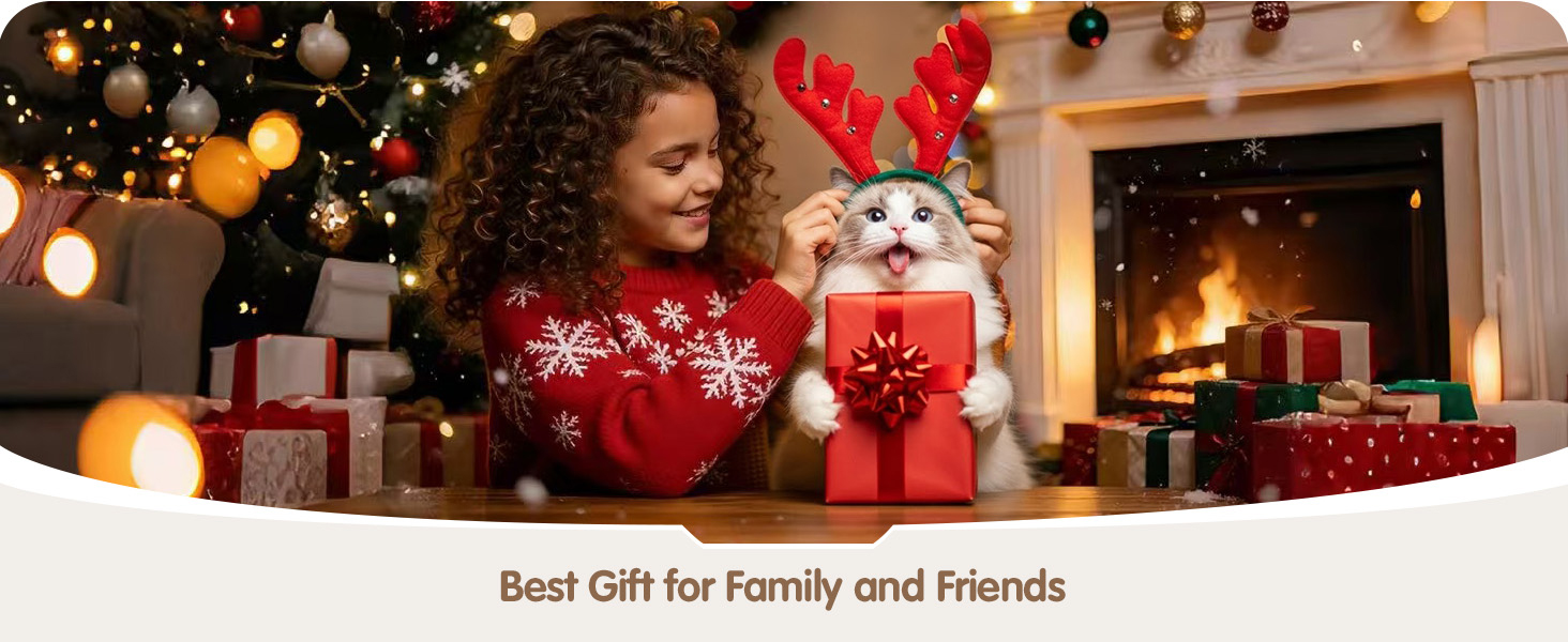 Best Cat Gift