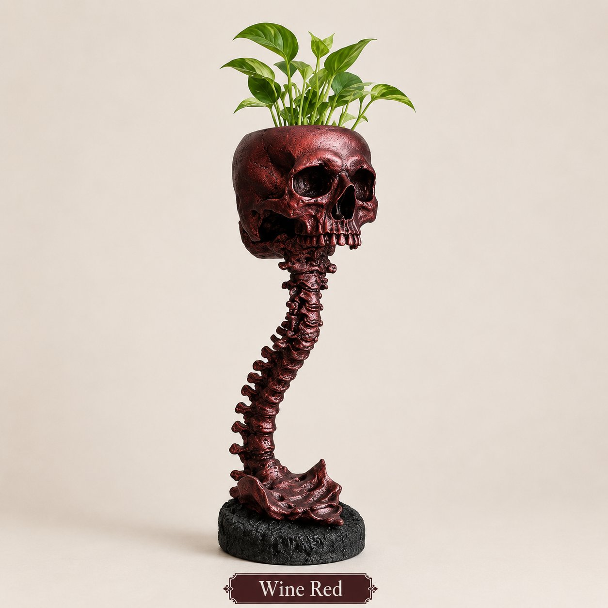 Gothic Skull Planter and Skeleton Vase,  Spooky Home Decor