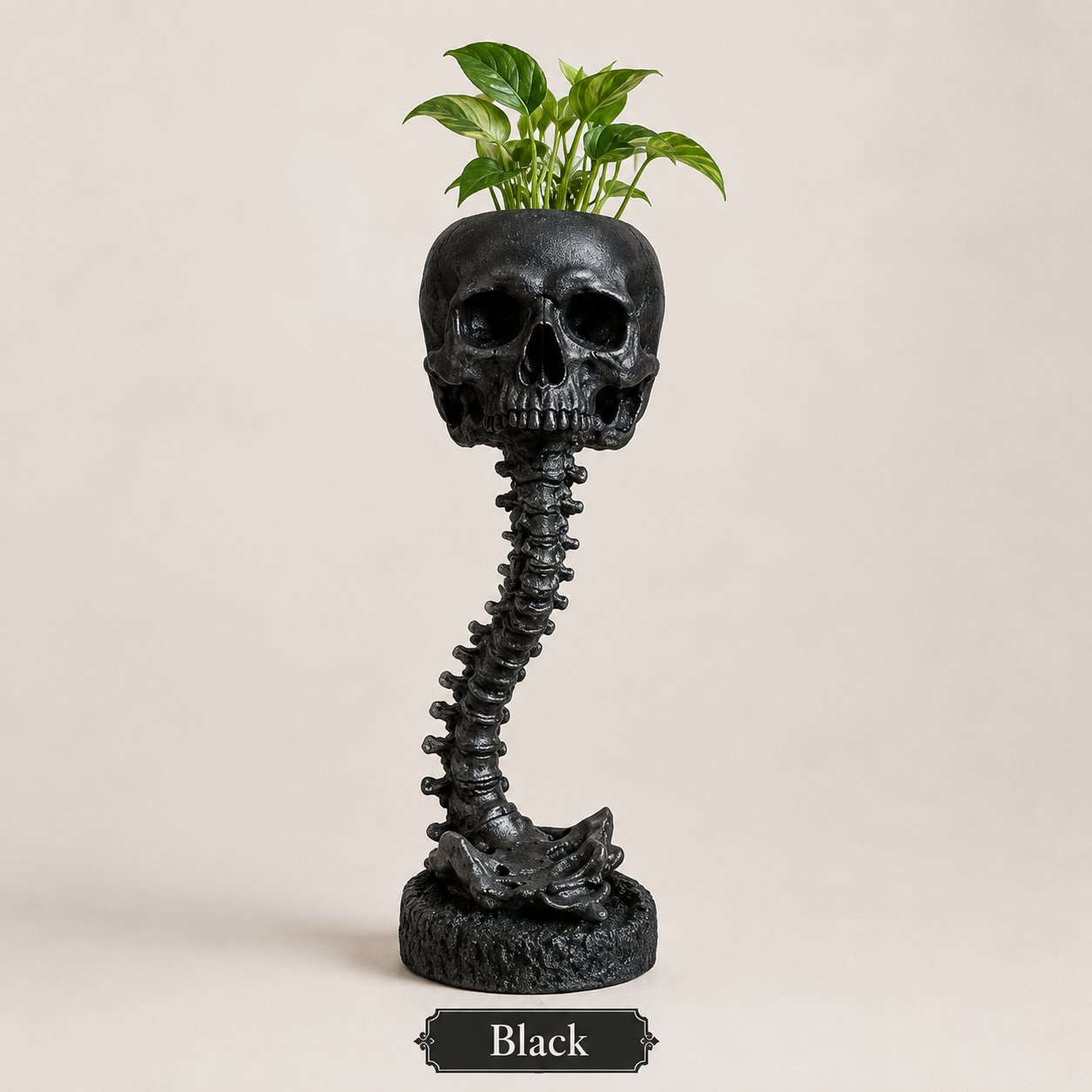 Gothic Skull Planter and Skeleton Vase, Spooky Home Decor