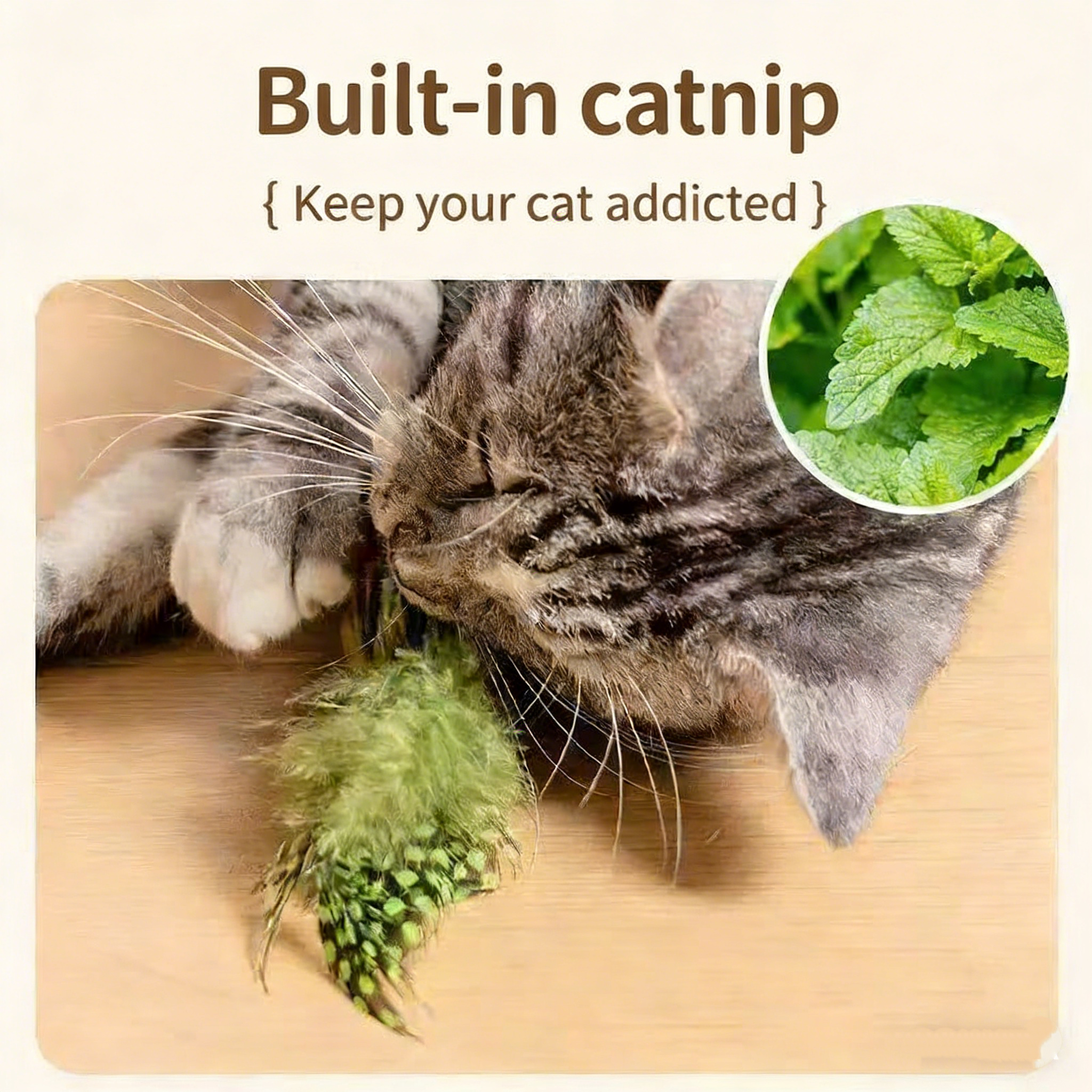 Touch-Activated Chirping Bird Cat Toy | Realistic Bird Call Interactive Cat Teaser | Bite-Resistant Feather Cat Toy for Indoor Cats Self-Entertainment