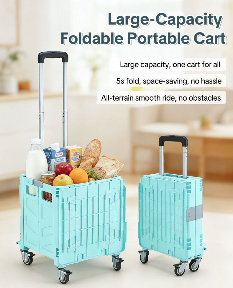 shopping carts for groceries