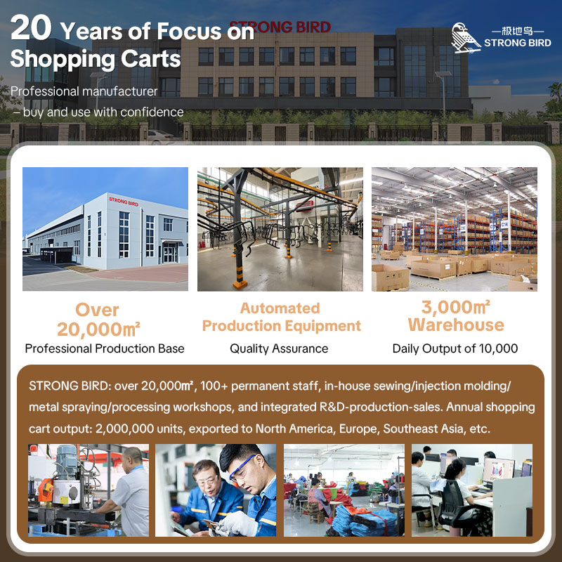 Trolley Dolly Heavy Duty Stainless Steel Foldable Shopping Cart for Groceries - Customizable Double Layer Design with Removable Bag & Wheels