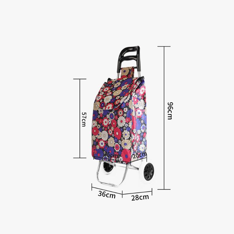 Large Shopping Cart | Strong Bird Personal Grocery Cart for Bulk Food Shopping