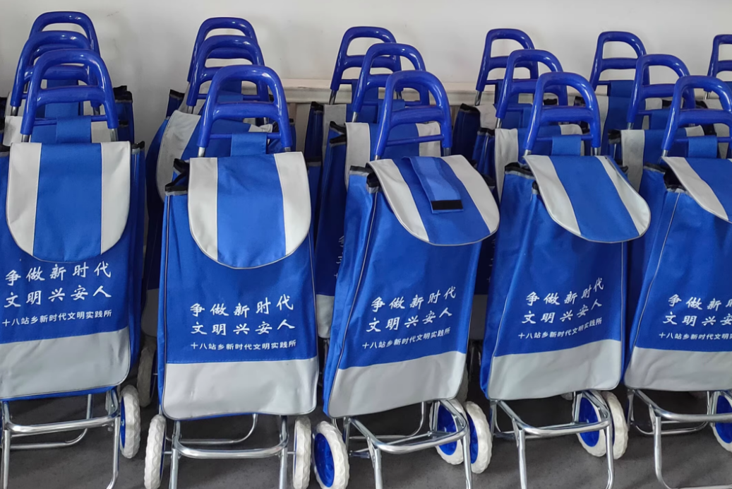 Beyond Gifts: Why Companies and Communities Are Choosing Custom Shopping Carts to Improve Daily Convenience for Employees and Community Members-strongbird