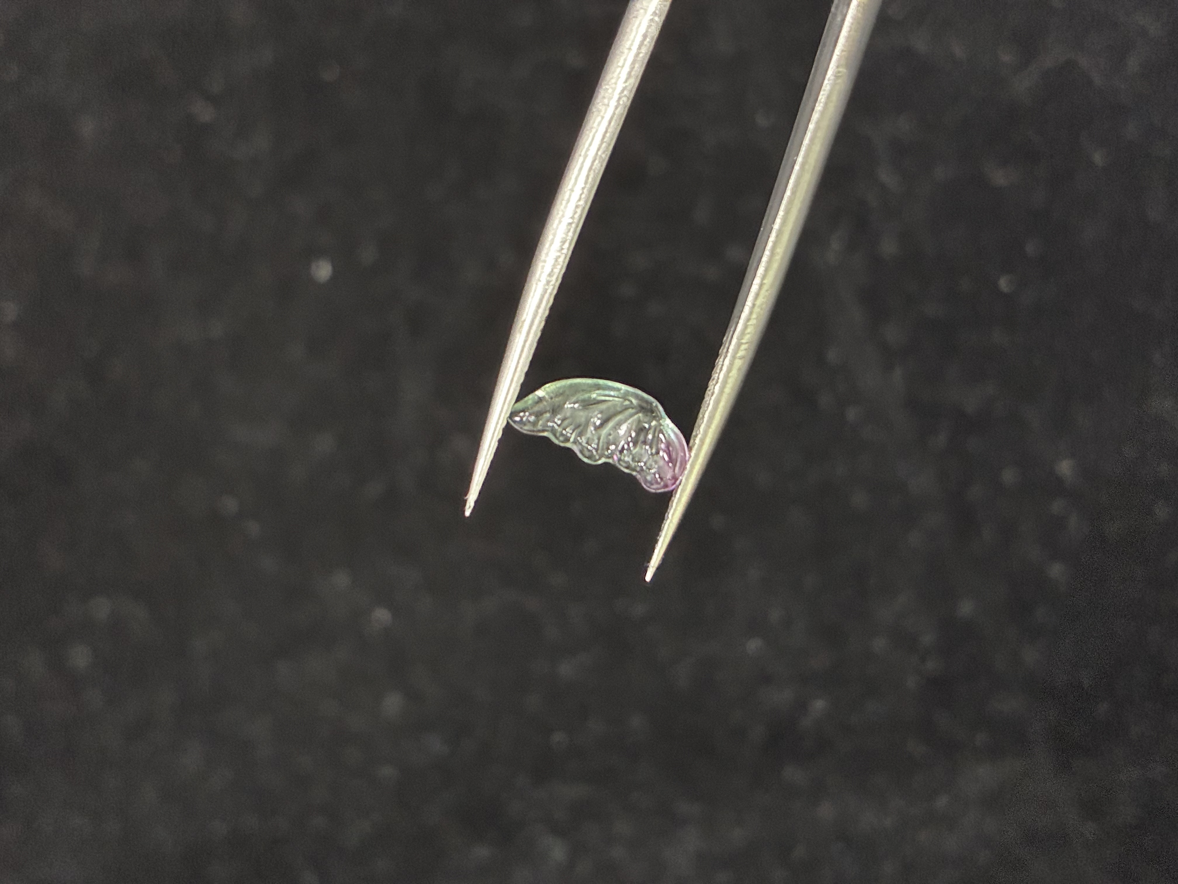 Butterfly Wings – Bi-Color Sapphire