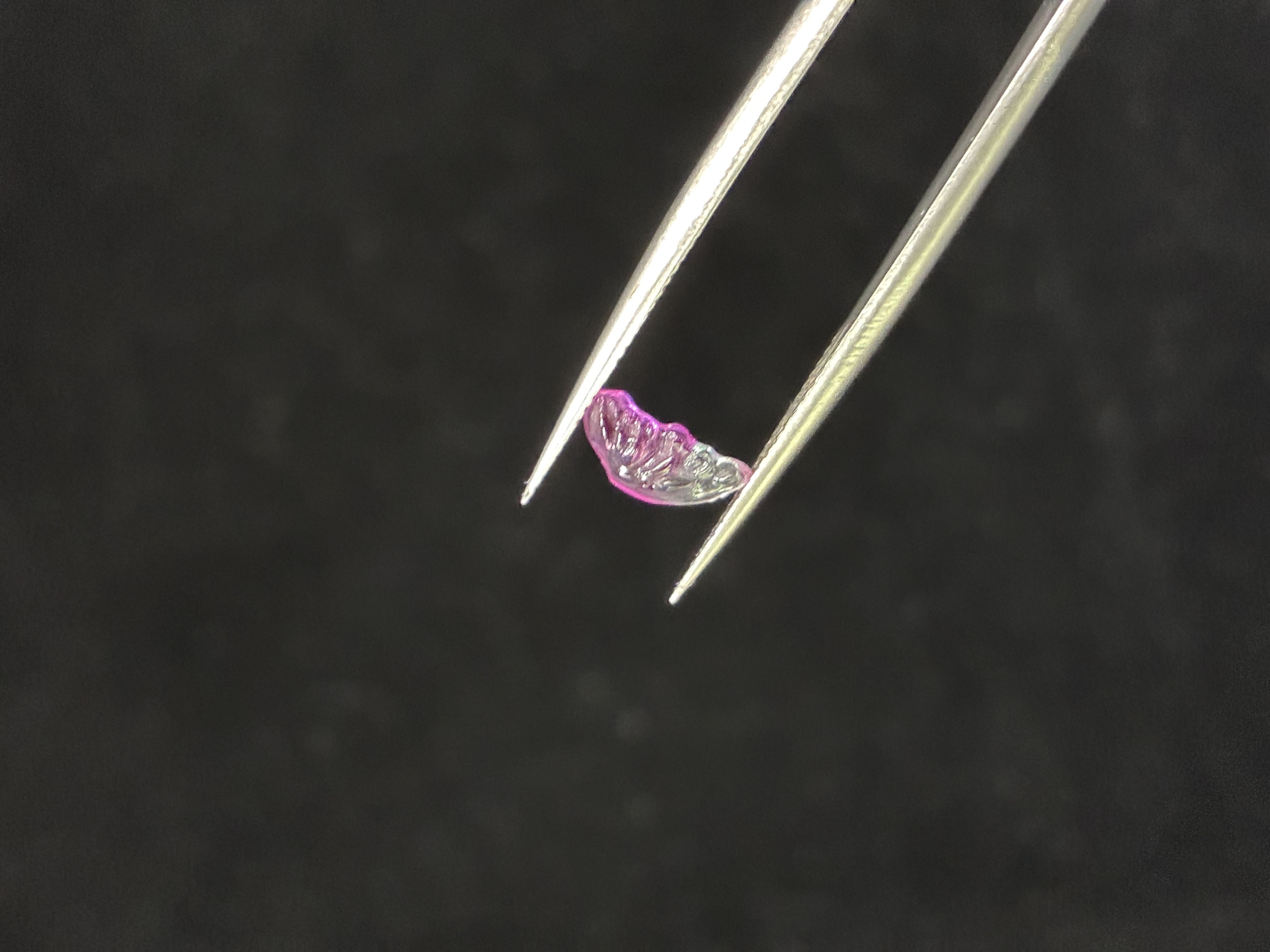 Butterfly Wings – Bi-Color Sapphire