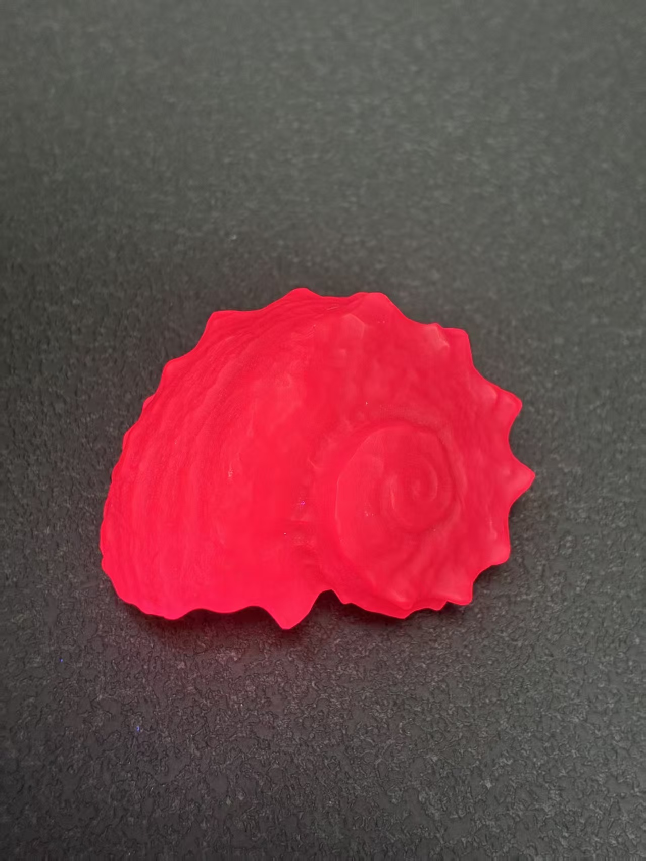 Conch Shell – Lab-Grown Ruby