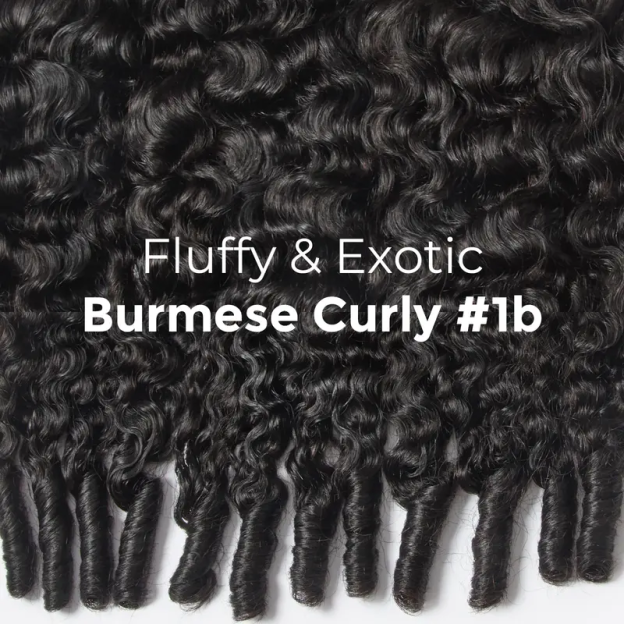 June Messy Burmese Curly Bundles 100% Virgin Human Hair Bundles