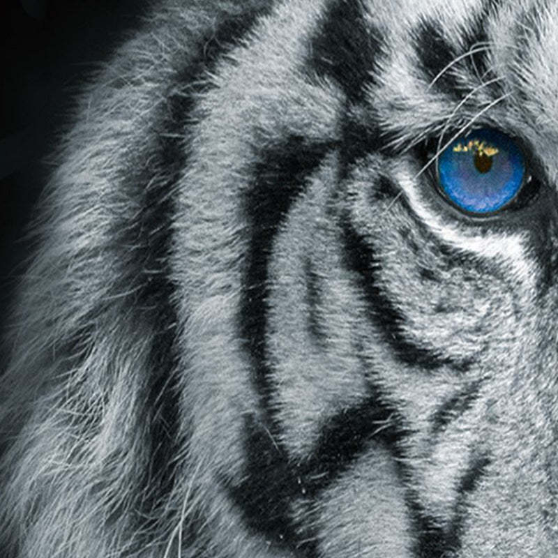 Blue Eyed Tiger Face Printed 4-Piece Duvet Cover Set, Animal Tiger Themed Bedding Set