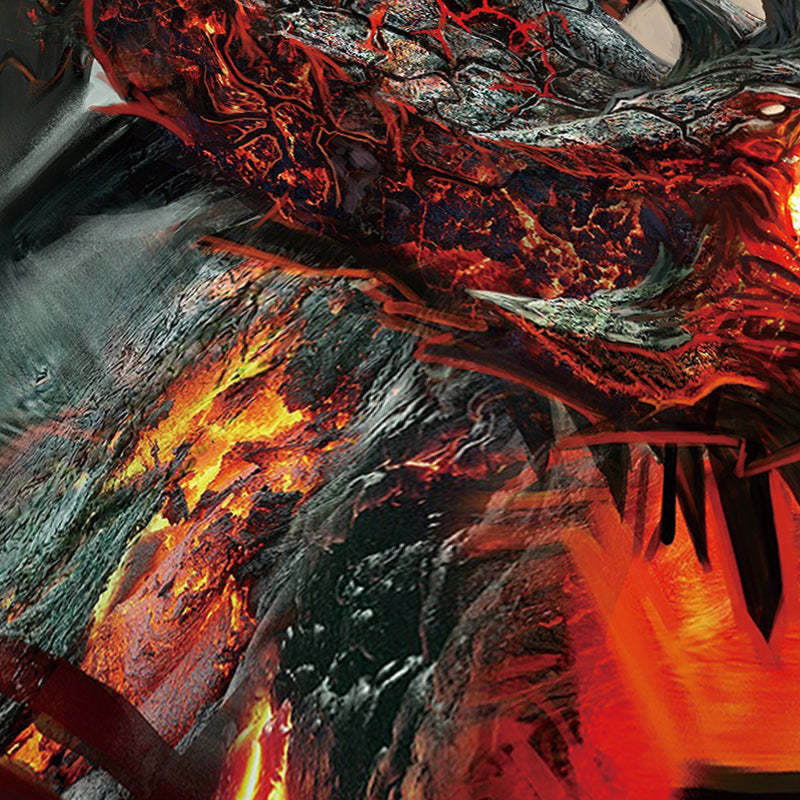 Fire Dragon Spouting Fire Print 4-Piece Duvet Cover Set with Flat Sheet 2 Pillowcases