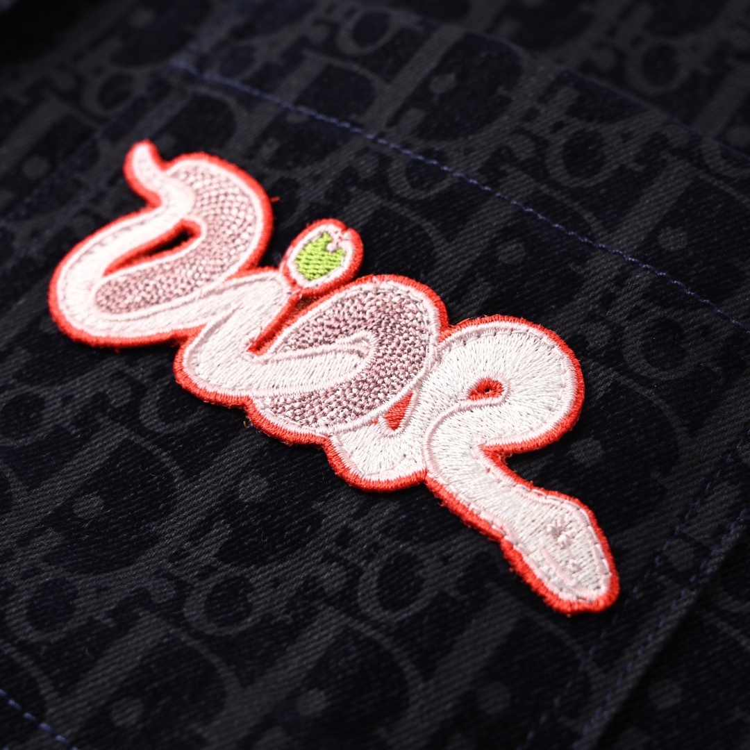 DIA  Printed denim long sleeved shirt