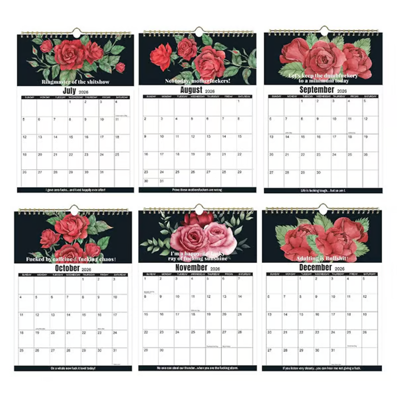 Here We F*cking Go Again: 2026 Swear Calendar for Tired-Ass Women