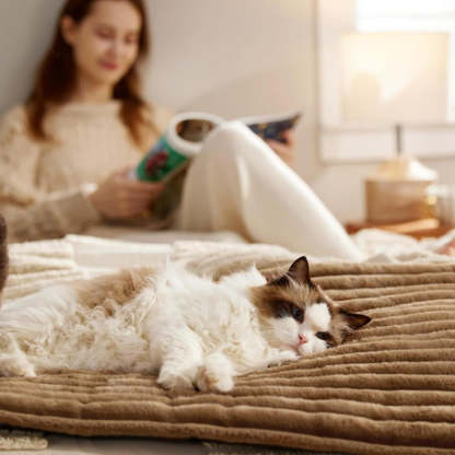 🎉New Year Sale🎉Self Warming Pet Bed