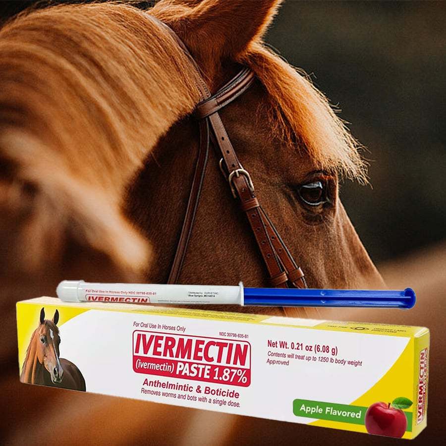 🔥LAST DAY SALE - BUY 2 FREE 1🔥ivermectin Horse Paste 1.87% 6.08g Tubes 3