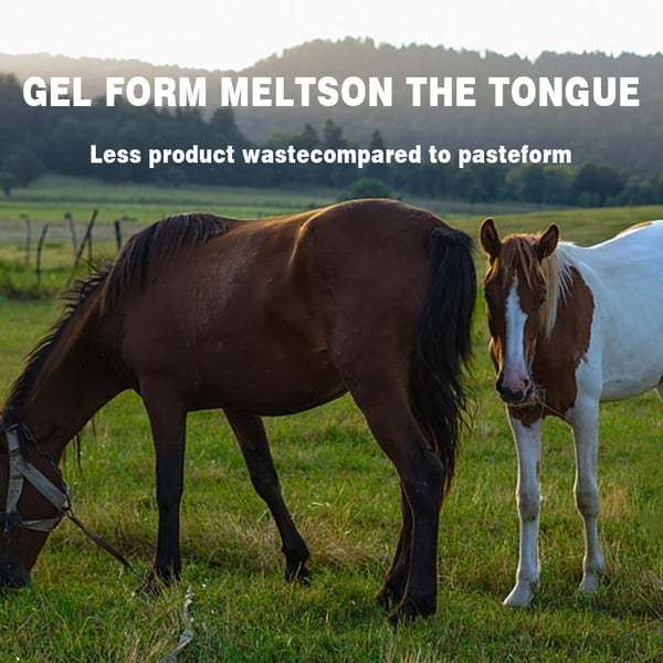 🔥LAST DAY SALE - BUY 2 FREE 1🔥ivermectin Horse Paste 1.87% 6.08g Tubes 3