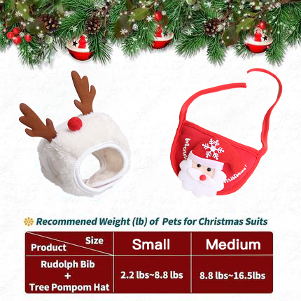 🎅Christmas Sale 50% Off🎄Cute Christmas Tree Hat with Pom-Poms