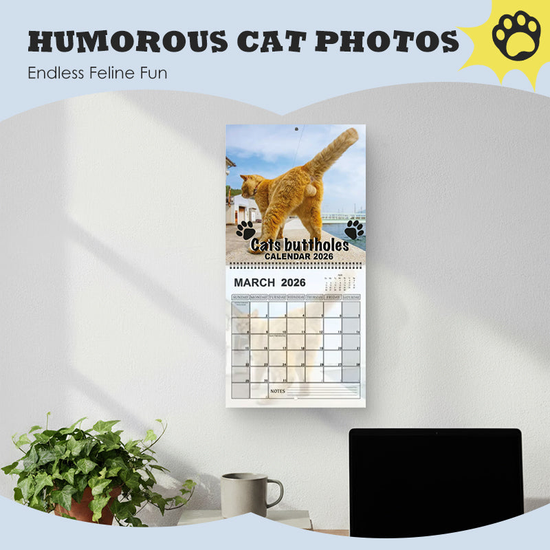 2026 Funny Cat Wall Calendar