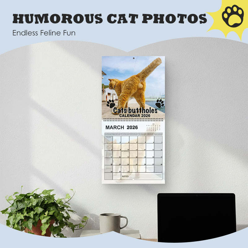 2026 Funny Cat Wall Calendar