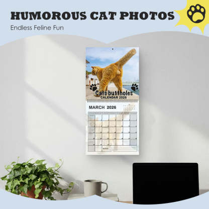 2026 Funny Cat Wall Calendar