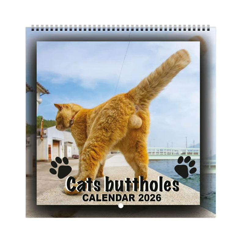 2026 Funny Cat Wall Calendar