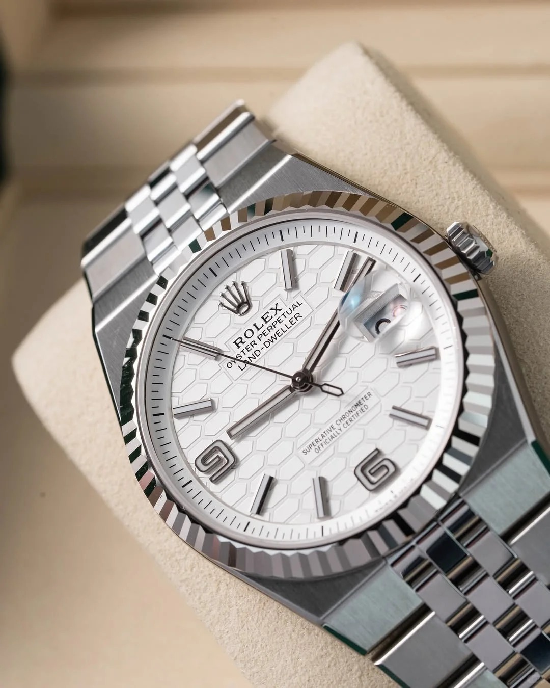 Land-Dweller 40, Oyster, 40 mm, Oystersteel and white gold  Reference 127334