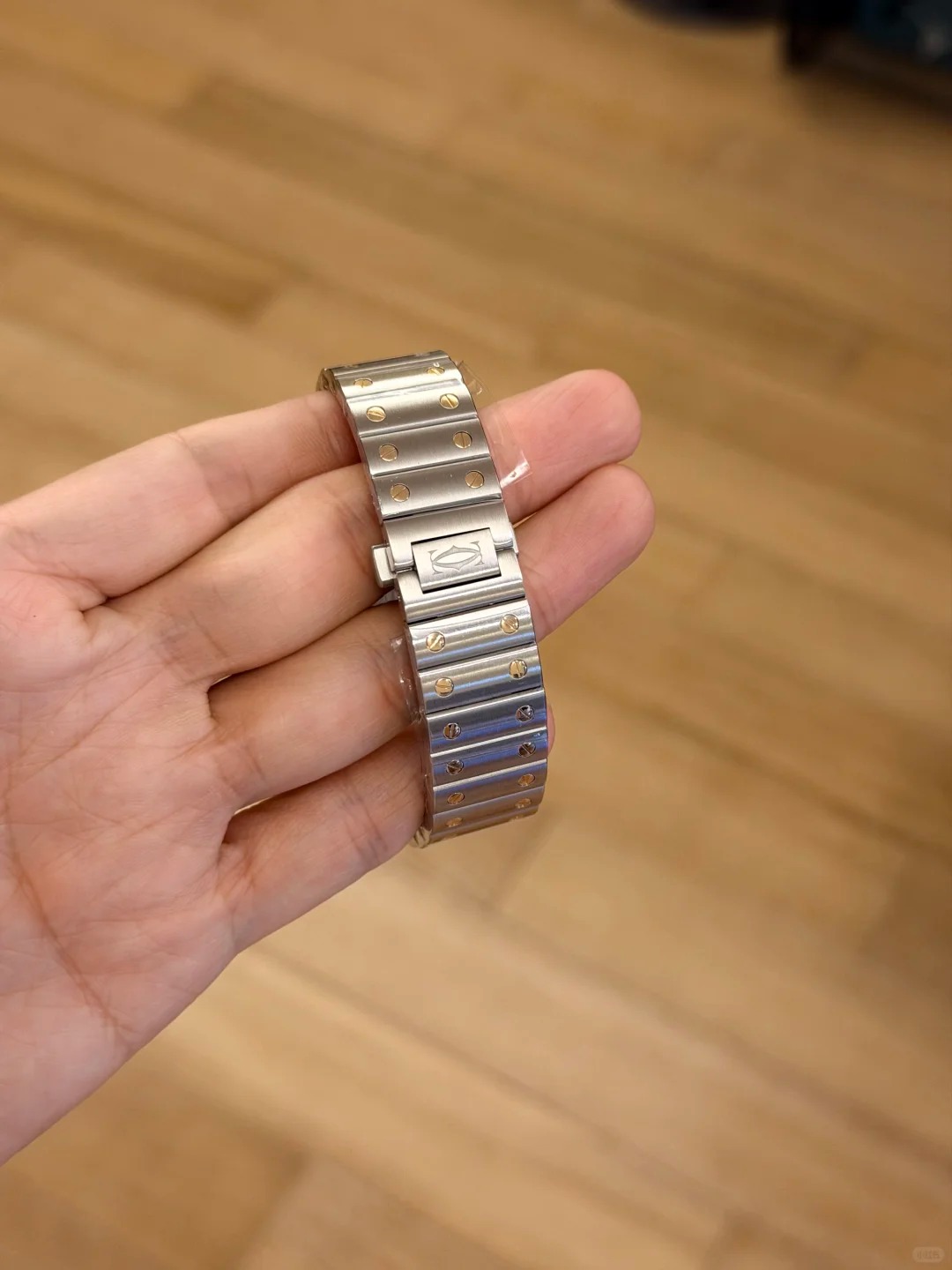 SANTOS DE WATCH MEDIUM MODEL