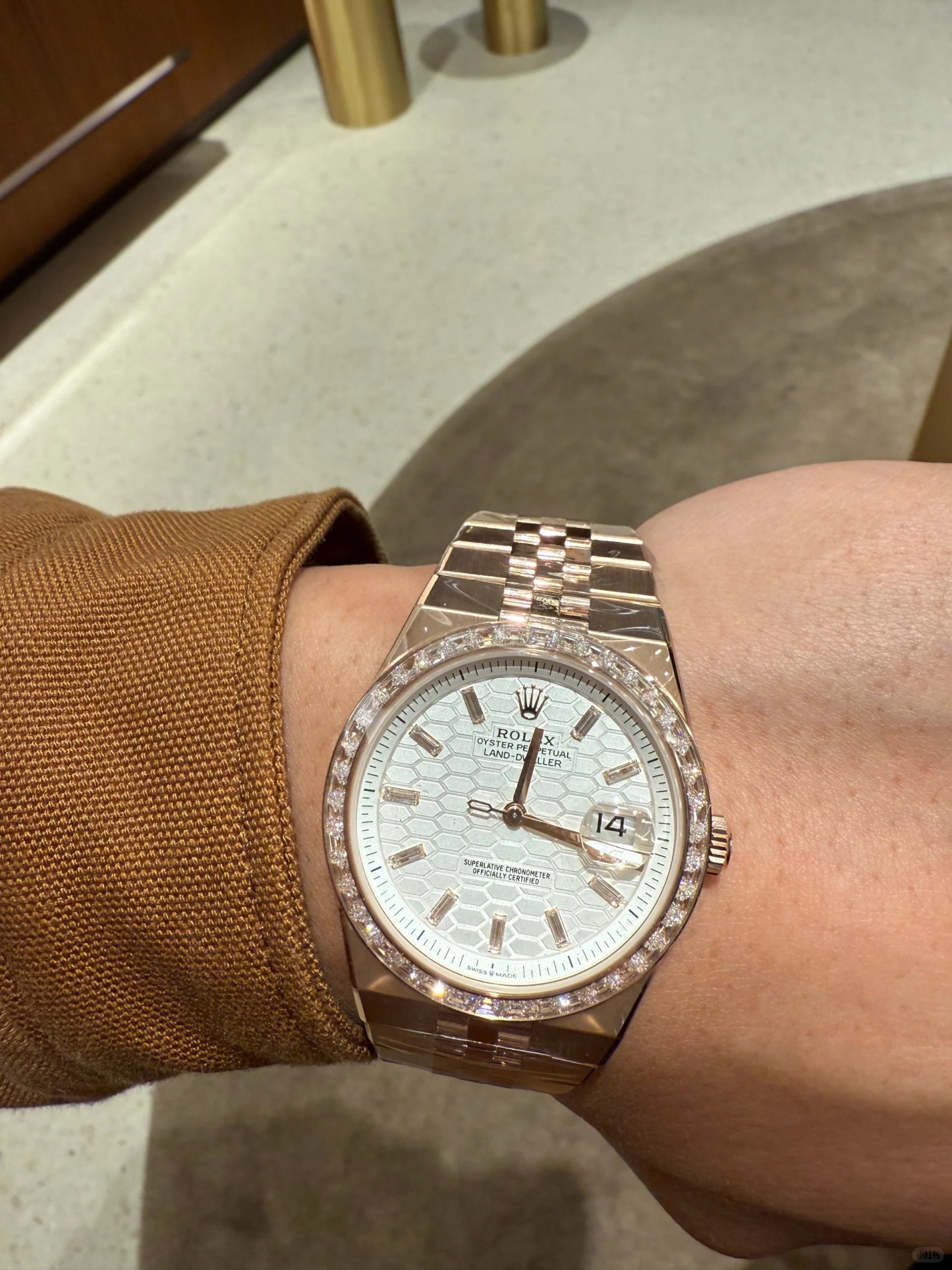 Land-Dweller 36, Oyster, 36 mm,