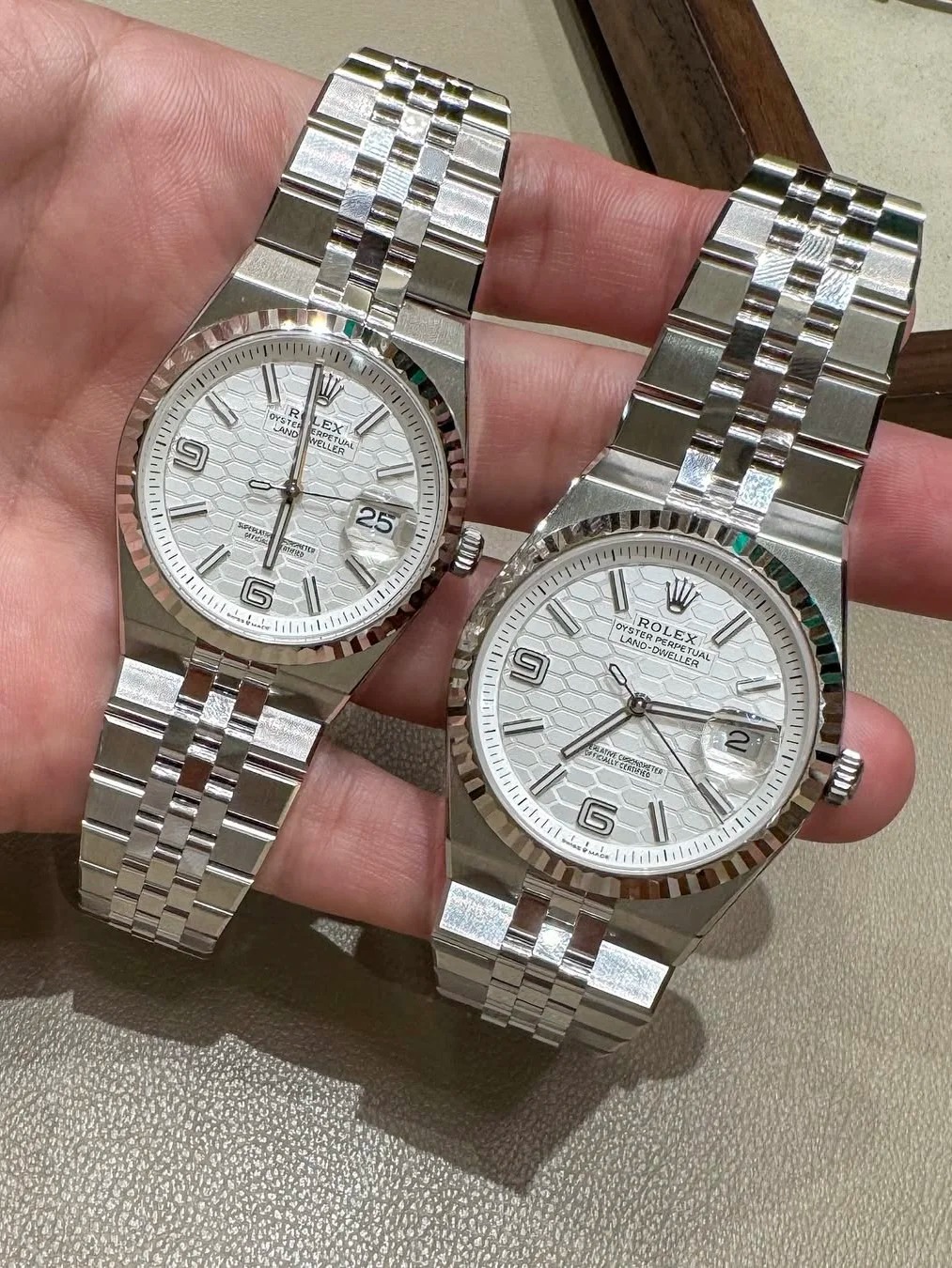 Land-Dweller 36, Oyster, 36 mm, Oystersteel and white gold  Reference 127234