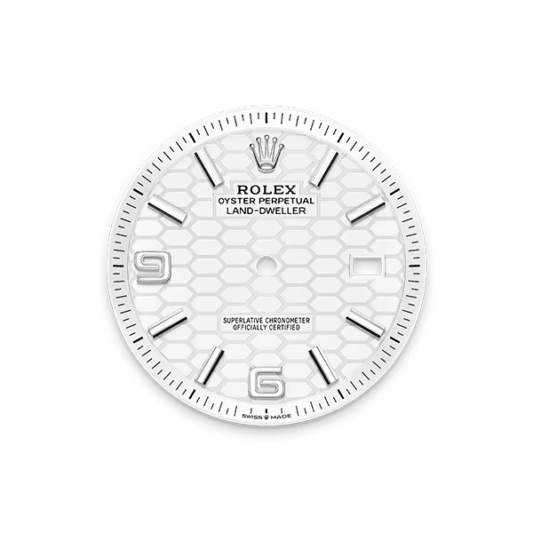 Land-Dweller 36, Oyster, 36 mm