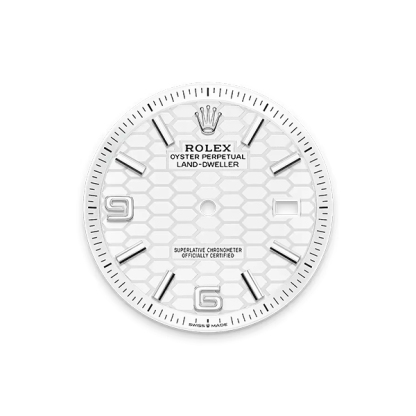 Land-Dweller 36, Oyster, 36 mm