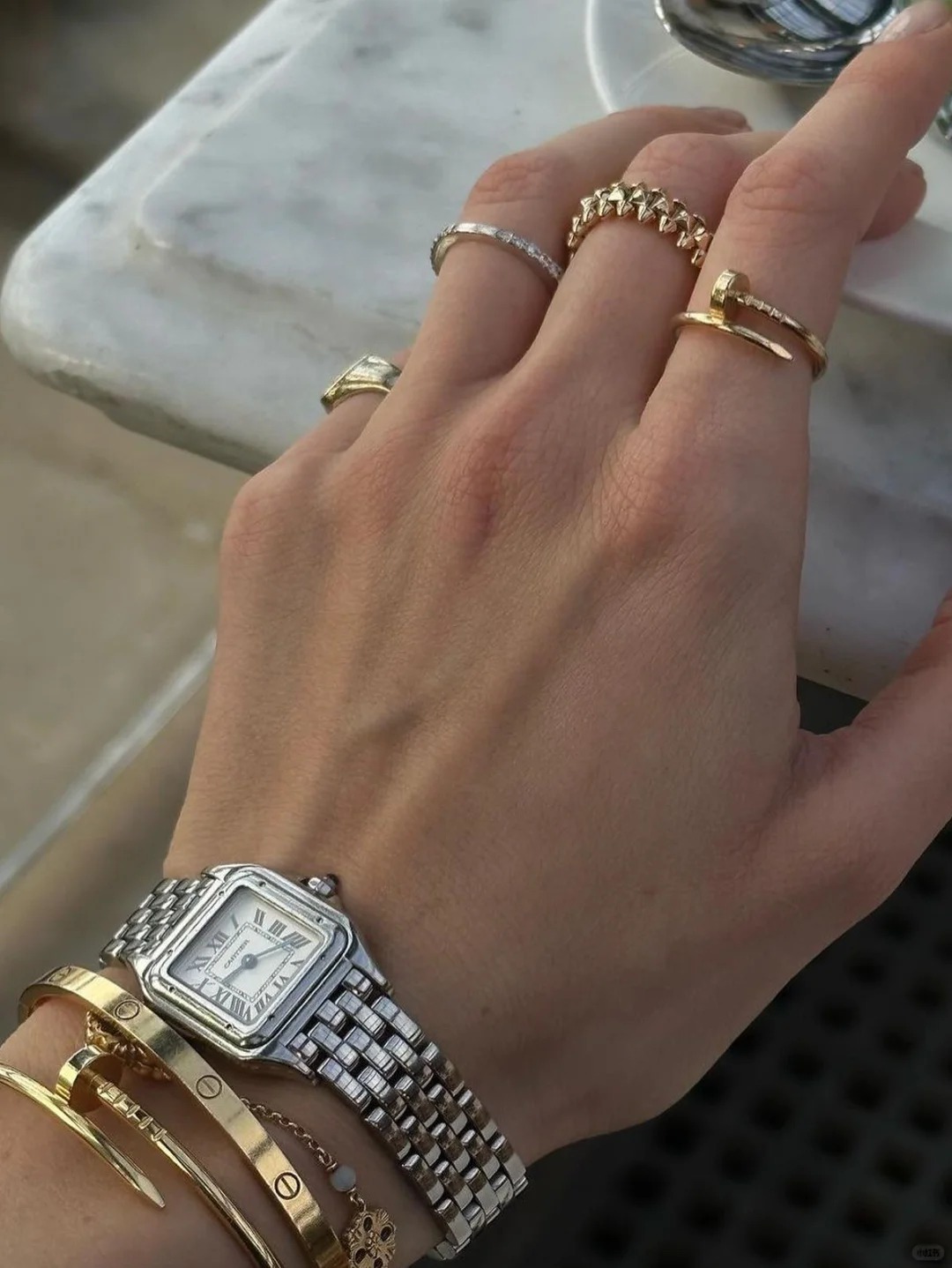 PANTHERE DE WATCH SMALL MODEL